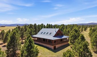 10 N Touch Me Not, Angel Fire, NM 87710