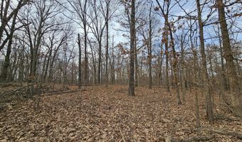 65 Acres Plainview Rd, Anderson, MO 64831