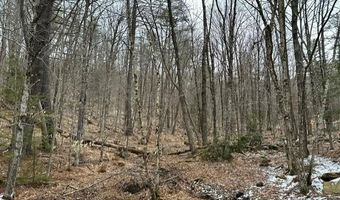 10-3 18 Myrtle St, Campton, NH 03223