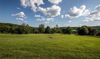155 Hall Rd, Afton, NY 13730