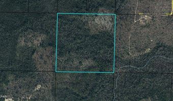 00 NW Camp Head Rd, Altha, FL 32421