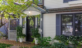 229 W Hallam St, Aspen, CO 81611