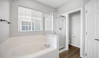 164 Apache Plume St, Brighton, CO 80601