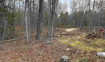 207-002 Washington St, Barrington, NH 03825