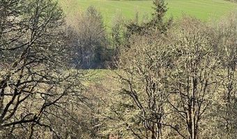 SE Rice Ln, Amity, OR 97101