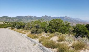 0 Ribbonwood Dr, Mountain Center, CA 92561