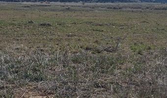 TBD Talmage Rd, Bancroft, ID 83217