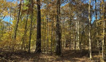 Hwy 9, Bruce, MS 38915