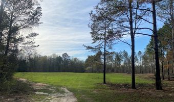 03 County Road 6650, Banks, AL 36005