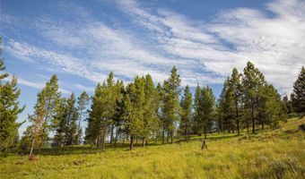 43 Elk Meadows Ln, Anaconda, MT 59711