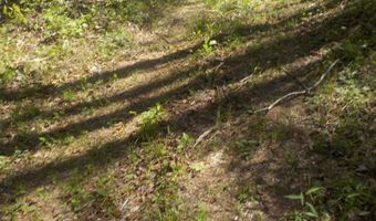 Steve Brown Road, Bean Station, TN 37708