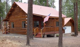30 County Road 2066, Alpine, AZ 85920