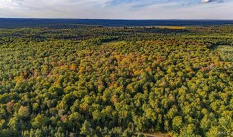 Luke Road, Amasa, MI 49903