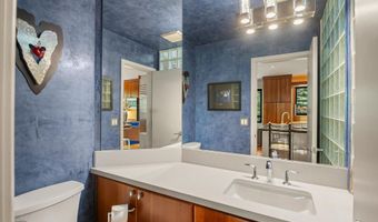 650 S Monarch St 9, Aspen, CO 81611