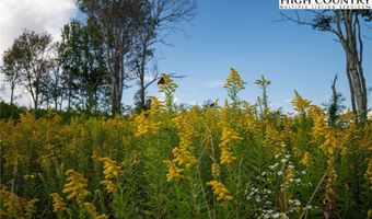146 Banner Glade Trl, Banner Elk, NC 28604