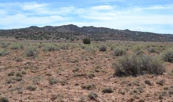 N8577 18, Concho, AZ 85924