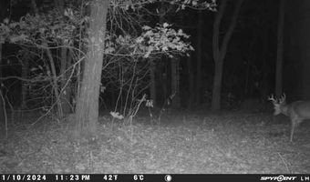 TBD Wilderness WY, Anderson, MO 64831