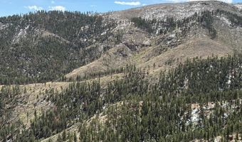 711 Saddle Ridge Rd, Bellvue, CO 80512