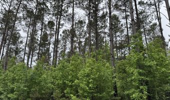 Mount Carmel Road, Bailey, MS 39320