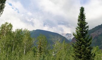 111 Powderbowl Trl, Aspen, CO 81611
