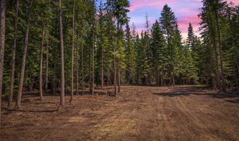 NKA Wandering Wolf Ridge Lot 3, Clark Fork, ID 83811