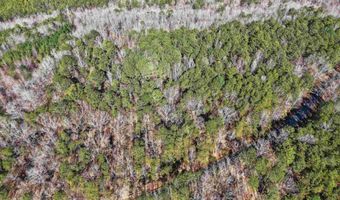 15045 LOCK 17 Rd Lot 1, Adger, AL 35006