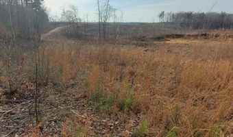 85 6+/- Acres County Road 2291, Booneville, MS 38829