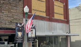 119 S Madison Ave, Aurora, MO 65605