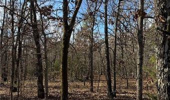 Tract 1 Rural Atoka, Atoka, OK 74525