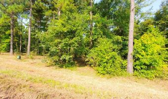 Lot 13 A Mountain View way 13 A, Bainbridge, GA 39819