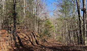 135 49ac Webb Creek Rd, Andrews, NC 28901