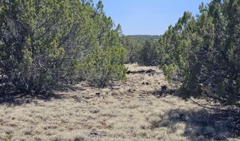 Tbd N8060, Concho, AZ 85924