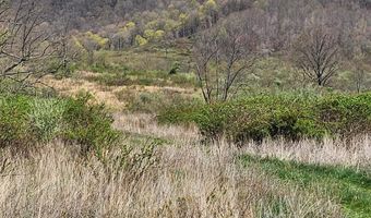Tbd Clear Fork Creek Road, Bastian, VA 24314