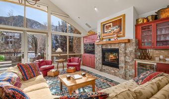 990 E Hopkins Ave, Aspen, CO 81611