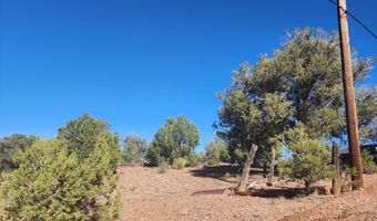 Tbd State Route 260, Clay Springs, AZ 85923