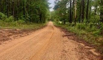 450 Apple Trl, Bogue Chitto, MS 39629