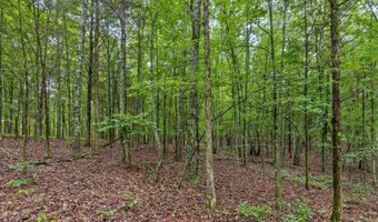 12706 Cranfield Rd, Birchwood, TN 37308
