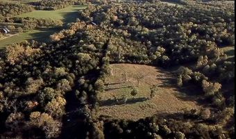 7776 State Hwy 39, Aurora, MO 65605