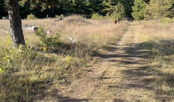 5235 Greenwood Rd, Alger, MI 48756