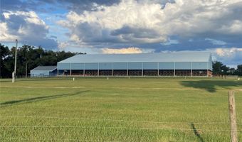 5559 SW 42ND Pl, Bell, FL 32619