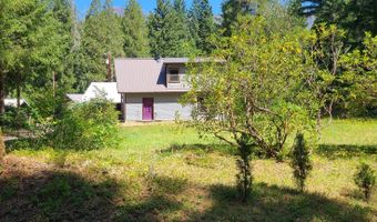 55533 MCKENZIE RIVER Dr, Blue River, OR 97413