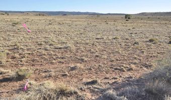 986 Concho Hwy, Concho, AZ 85924