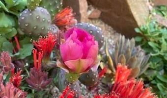 1111 Utica Cir, Boulder, CO 80304