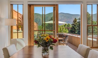 104 Midland Ave 302, Basalt, CO 81621