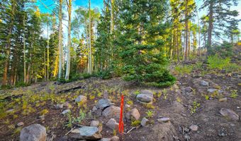 N Skyline Terrace CT, Beaver, UT 84713