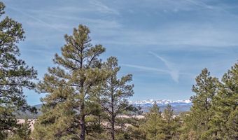 23370 Apishapa Ln, Aguilar, CO 81020