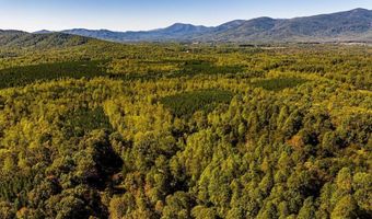 722 GREENFIELD MOUNTAIN FARM Lot 19 20 21 And 22, Afton, VA 22920