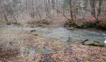 County Route 16, Angelica, NY 14709