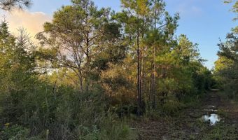 Lower Bay Road, Bay St. Louis, MS 39520