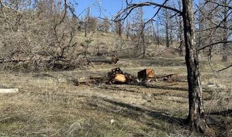 31763 Godowa Springs Rd, Beatty, OR 97621